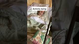 Video of Actively dying [upl. by Sileas918]