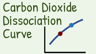 Carbon Dioxide Dissociation Curve [upl. by Stefanie333]