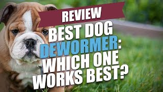 Best Dog Dewormer Review Which One Works Best [upl. by Spillar]