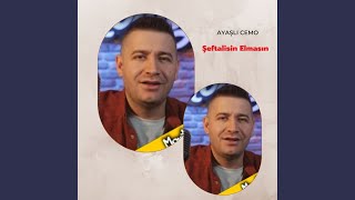 Şeftalisin Elmasın [upl. by Nuy]