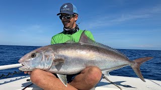 Vertical Jigging for Amberjacks  Live Fishing [upl. by Lehcim]