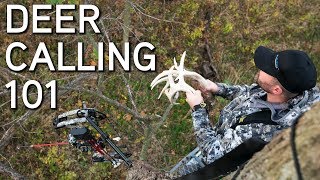 Deer Calling Tips  Rattling and Grunting To Bucks [upl. by Alak]