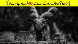 Top 10 Facts About Markhors  Story Of Markhor [upl. by Anillehs]