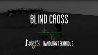 Blind Cross Agility Handling Technique [upl. by Darleen]