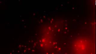 Beautiful red floating particles background video [upl. by Jorie730]