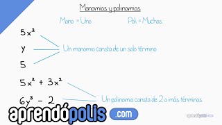 Monomios y Polinomios [upl. by Canale]