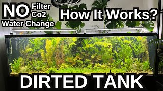 How Do DIRTED TANKS Work Aquarium Guide [upl. by Dupre997]