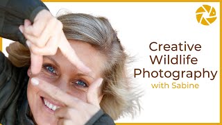 Creative Wildlife Photography Tips with Sabine Stols [upl. by Annehcu]