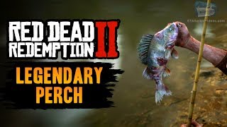 Red Dead Redemption 2 Legendary Fish  Legendary Perch [upl. by Joash964]