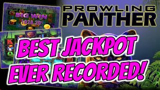 THE GREATEST PROWLING PANTHER JACKPOT EVER CAUGHT ON CAMERA [upl. by Eissahc]