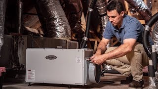 Whole House Dehumidifiers Pros amp Cons  Sylvane [upl. by Anelak]