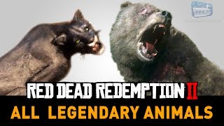 Red Dead Redemption 2 All Legendary Animals [upl. by Silrac]