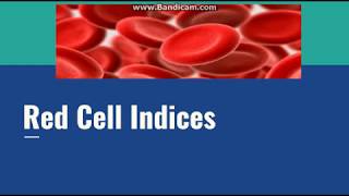 RBC Indices [upl. by Utimer34]