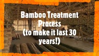 Bamboo Treatment Process for Building Construction [upl. by Llerehc]