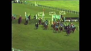 1983 Grand National Handicap Chase Aintree [upl. by Pilif]