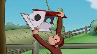 George feeds the Squirrels 🐵Curious George 🐵Videos for Kids [upl. by Gnot]