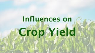 Influences on Crop Yield [upl. by Cummings687]