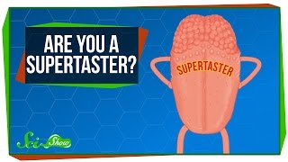 Are You a Supertaster [upl. by Harlow]