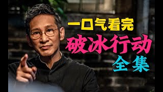 一口气快看《破冰行动》全集以真实事件改编 小小村庄隐藏惊天大秘密 看杨金水草蛇灰线 布局全场 [upl. by Ing]