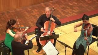 Beethoven Quartet in Eflat Major Op 74 quotHarpquot performed by the Arianna String Quartet [upl. by Bendix]