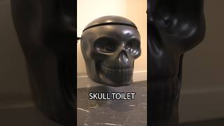 My New SKULL Toilet [upl. by Rumpf]