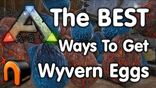 Ark Survival Evolved HOW TO GET WYVERN EGGS [upl. by Anyer]