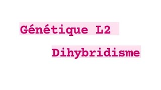 Génétique  Dihybridisme  gène liée et indépendant [upl. by Terris]