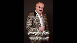 Gheorghe Topa  Veniti Acasa Official Audio [upl. by Cary]