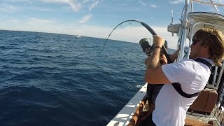 CATCHING AN AMBERJACK IS IMPOSSIBLE Offshore Saltwater Fishing in Florida [upl. by Delanos989]