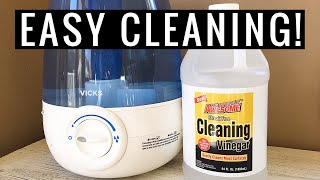 How to Clean a HUMIDIFIER NATURALLY With Vinegar  Andrea Jean [upl. by Phonsa669]