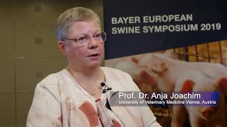 Toltrazuril in coccidiosis control – Prof Dr Anja Joachim long [upl. by Kellyann105]