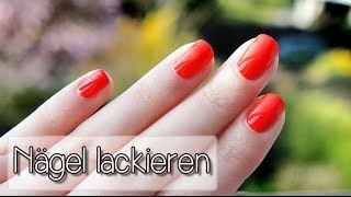 Nägel sauber lackieren  Tutorial  Collchen14 [upl. by Bamford]