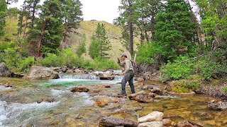 Fly Fishing the most INCREDIBLE Stream in Wyoming  Fly Fishing Wyoming part 3 [upl. by Hillhouse]