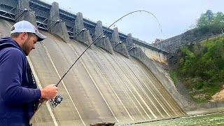 Fishing Below a Massive Dam For Anything That Will Bite [upl. by Denton]