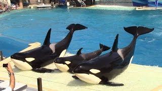 One Ocean Full Show  SeaWorld San Diego  September 20 2014 [upl. by Ahrat]