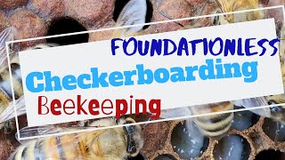 ☯️ Beekeeping  CHECKERBOARDING FOUNDATIONLESS FRAMES HOW TO NOT GET CROSS COMB [upl. by Luiza418]