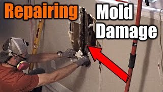 How To Repair Mold Damaged Walls  THE HANDYMAN [upl. by Nosneb58]