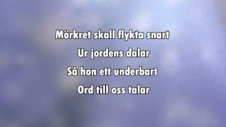 Sankta Lucia Natten går tunga fjät karaoke  lyrics [upl. by Eedolem]