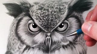 How to Draw an Owl [upl. by Pubilis818]