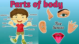 My Body  Body Parts and Sense Organs  EVS class1 [upl. by Lani]