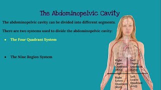 CHAPTER 1 Introduction to Anatomy and Physiology [upl. by Magnus621]