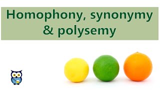 Homophony Synonymy Polysemy [upl. by Acnairb]