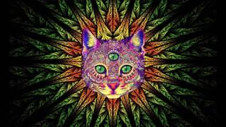 Best RaveParty Songs Mix 1 PSY TRANCE MINIMAL GOA TRANCE HEAVY BASS song list in description [upl. by Lingwood]