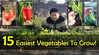 The 15 Easiest Vegetables To Grow For Beginners [upl. by Roselin73]