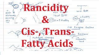 11 Cis Trans Fatty Acids amp Rancidity [upl. by Baggett429]