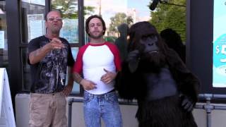 Psh Gorilla Commercial [upl. by Elledoj]