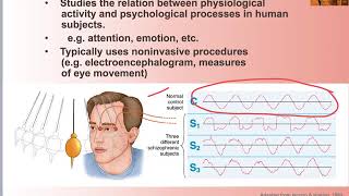 15 Biopsychology Divisions [upl. by Court]