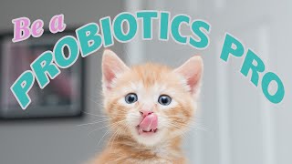 Probiotics for Kittens Be a Probiotics PRO [upl. by Alisha]