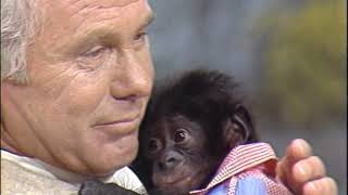 Johnny Carson amp the Pygmy Chimp  The Tonight Show  August 4 1977 [upl. by Eytak]