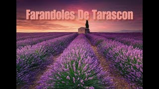 Farandoles de Tarascon [upl. by Zined138]